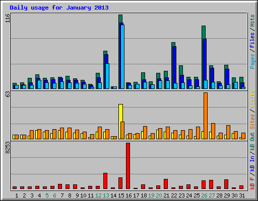 Daily usage for January 2013
