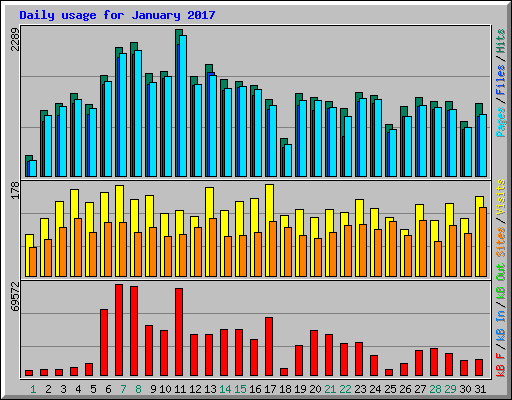 Daily usage for January 2017
