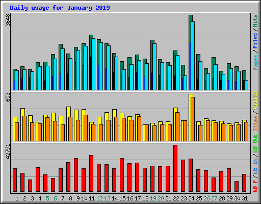 Daily usage for January 2019