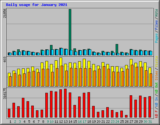 Daily usage for January 2021