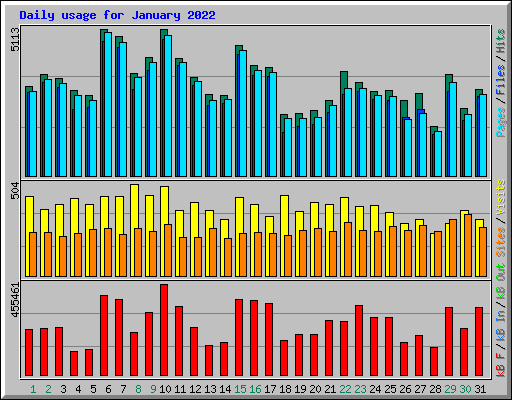 Daily usage for January 2022