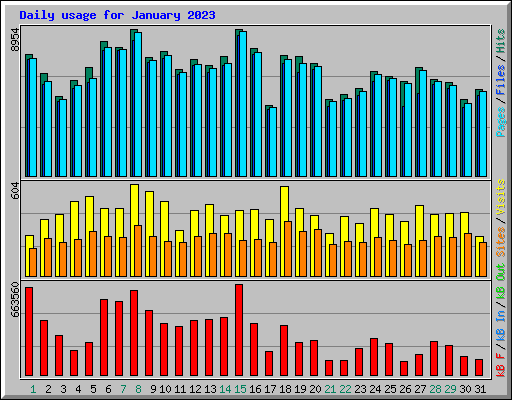 Daily usage for January 2023