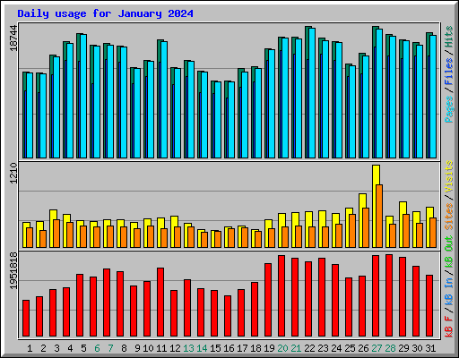 Daily usage for January 2024