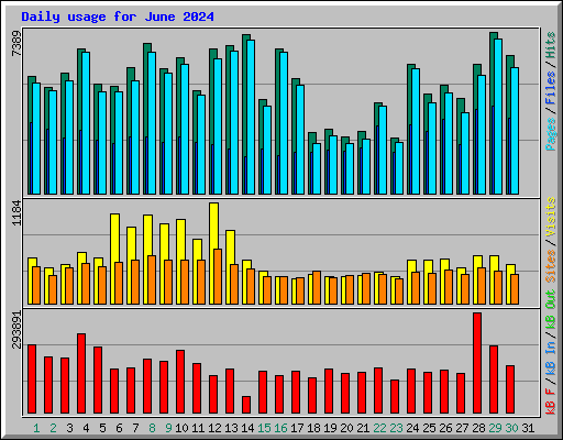 Daily usage for June 2024