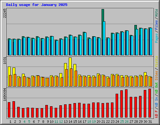 Daily usage for January 2025