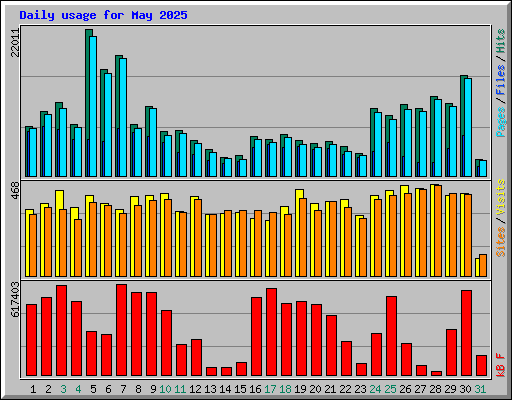 Daily usage for May 2025
