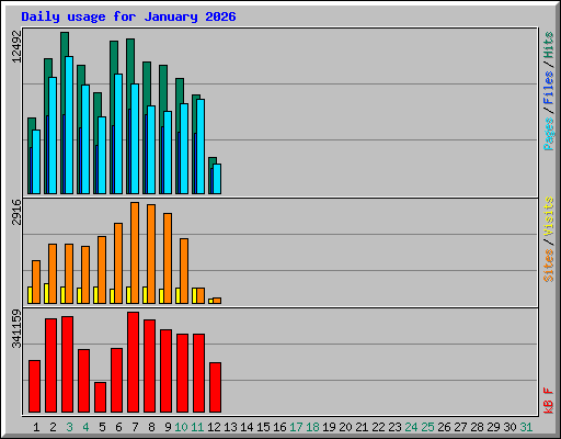 Daily usage for January 2026