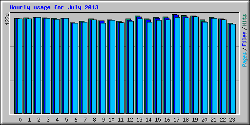 Hourly usage for July 2013