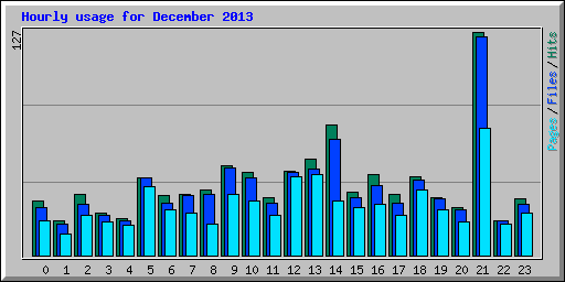 Hourly usage for December 2013