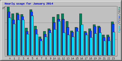 Hourly usage for January 2014