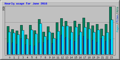 Hourly usage for June 2016