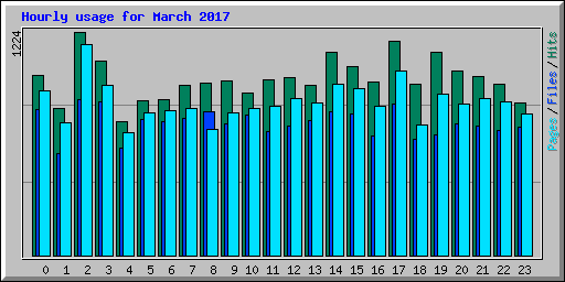 Hourly usage for March 2017