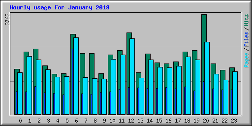Hourly usage for January 2019
