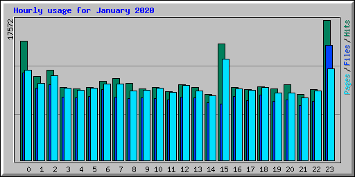 Hourly usage for January 2020