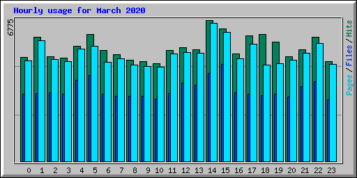 Hourly usage for March 2020