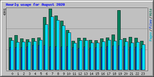 Hourly usage for August 2020
