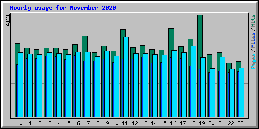 Hourly usage for November 2020