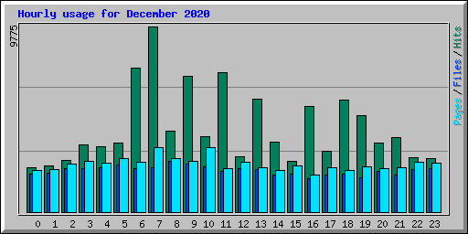 Hourly usage for December 2020