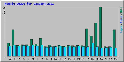 Hourly usage for January 2021