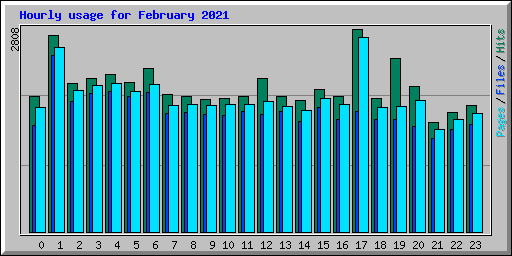 Hourly usage for February 2021