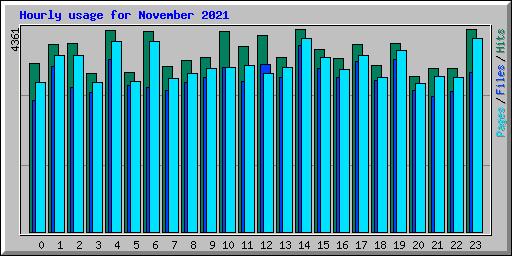 Hourly usage for November 2021