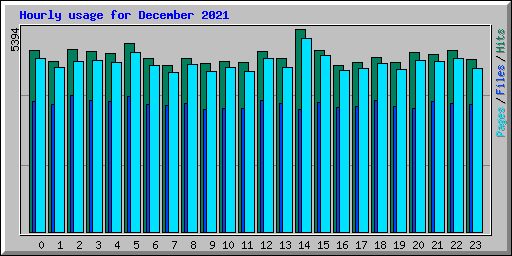 Hourly usage for December 2021
