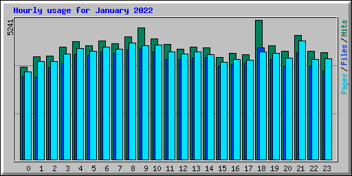 Hourly usage for January 2022