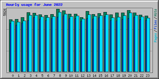 Hourly usage for June 2022