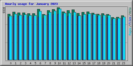 Hourly usage for January 2023