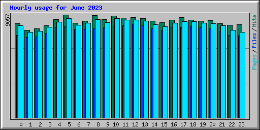Hourly usage for June 2023