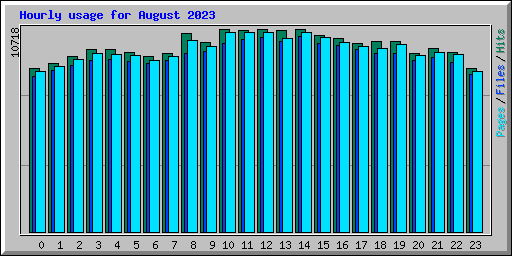 Hourly usage for August 2023