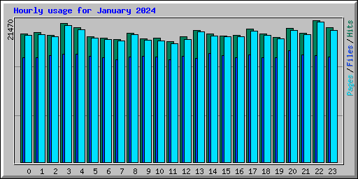 Hourly usage for January 2024