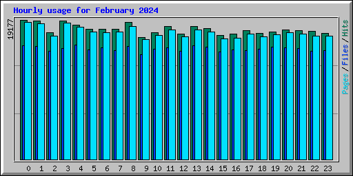 Hourly usage for February 2024