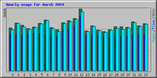 Hourly usage for March 2024