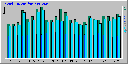 Hourly usage for May 2024