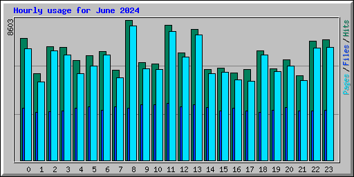 Hourly usage for June 2024