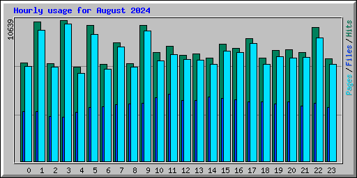 Hourly usage for August 2024