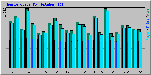 Hourly usage for October 2024
