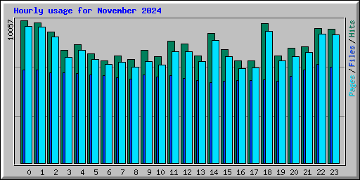 Hourly usage for November 2024