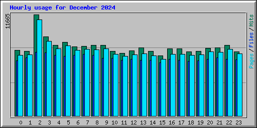 Hourly usage for December 2024