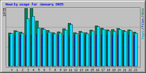 Hourly usage for January 2025