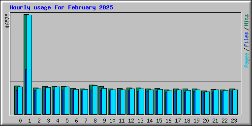 Hourly usage for February 2025