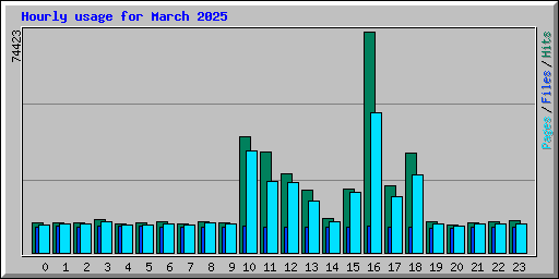 Hourly usage for March 2025