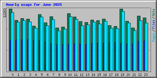 Hourly usage for June 2025