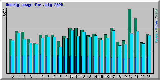 Hourly usage for July 2025