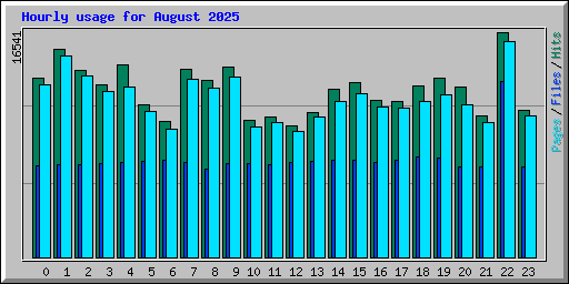 Hourly usage for August 2025