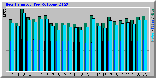 Hourly usage for October 2025