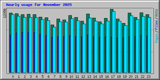 Hourly usage for November 2025