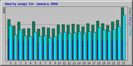 Hourly usage for January 2026